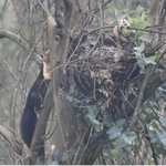 Screenshot 2026 01 02 at 7 17 09 PM