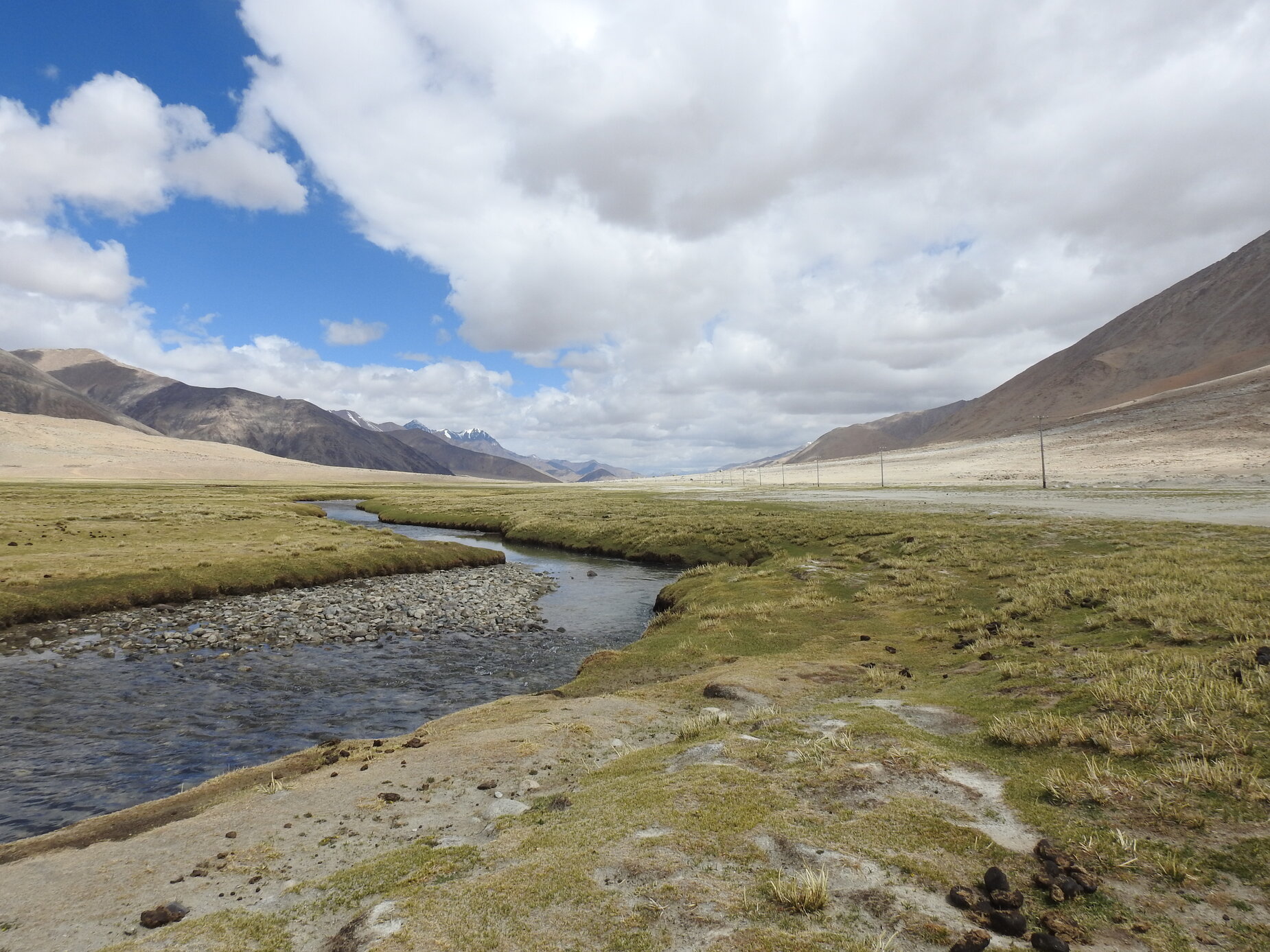 Himalayan&#x20;Marmot&#x20;landscape&#x20;in&#x20;Eastern&#x20;Ladakh