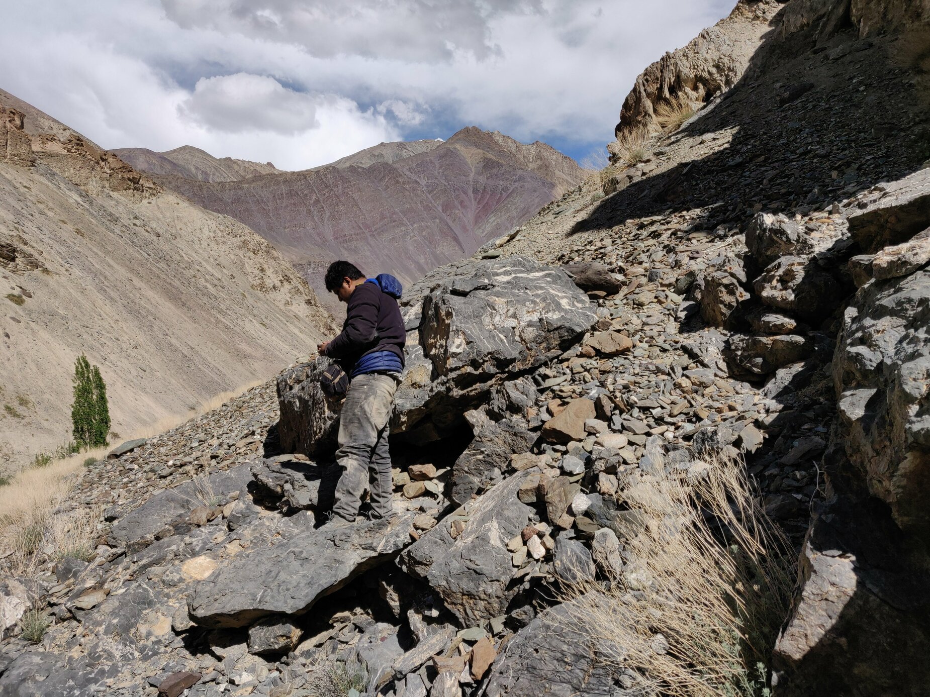 Sampling&#x20;rock-dwelling&#x20;pika&#x20;habitat&#x20;in&#x20;Ladakh.
