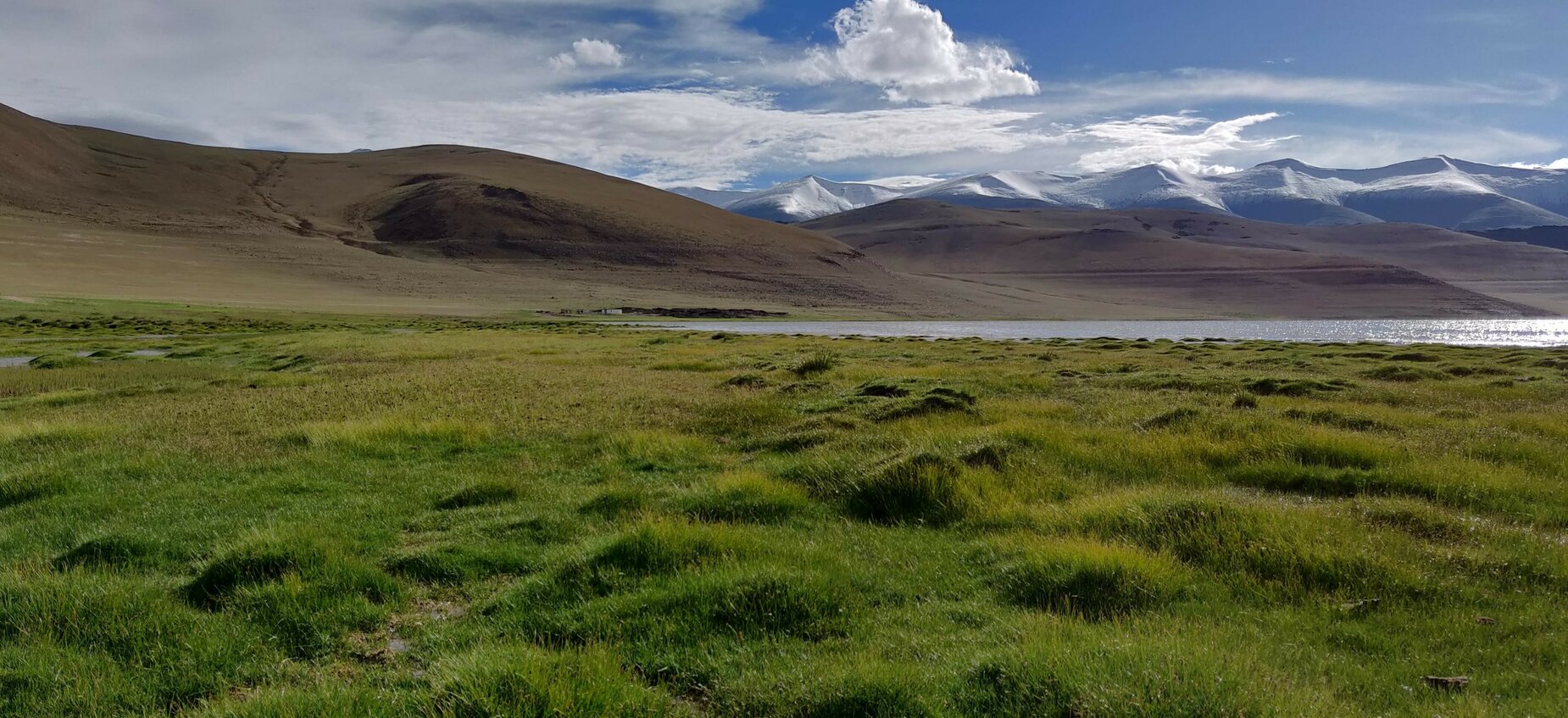 Ladakh&#x20;Pika&#x20;habitat&#x20;in&#x20;Tsokar,&#x20;Ladakh