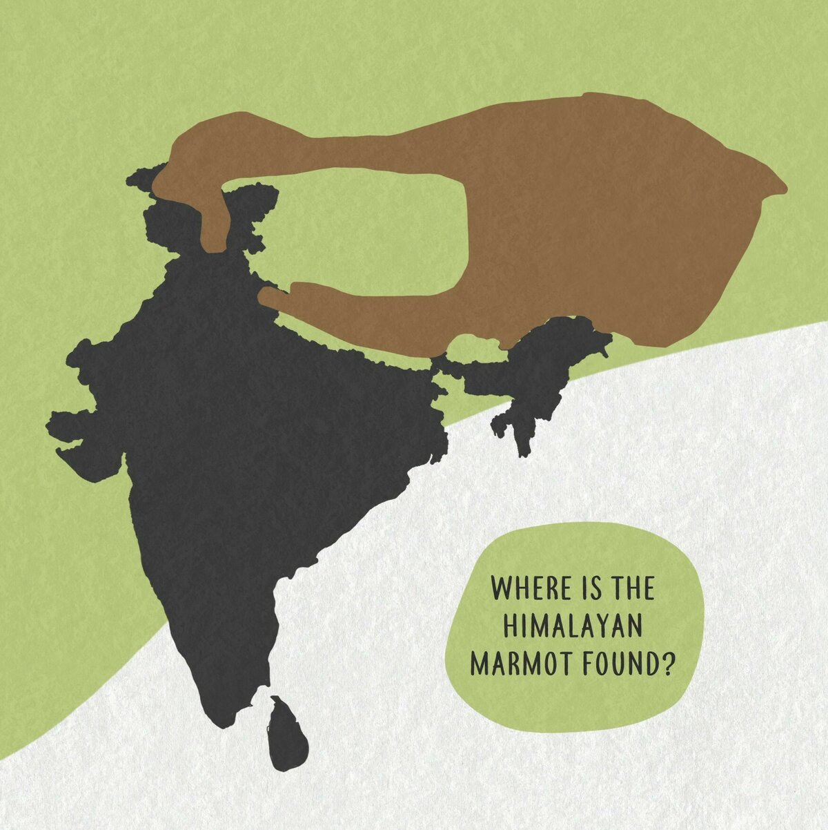 03 Himalayan marmot distribution Moment