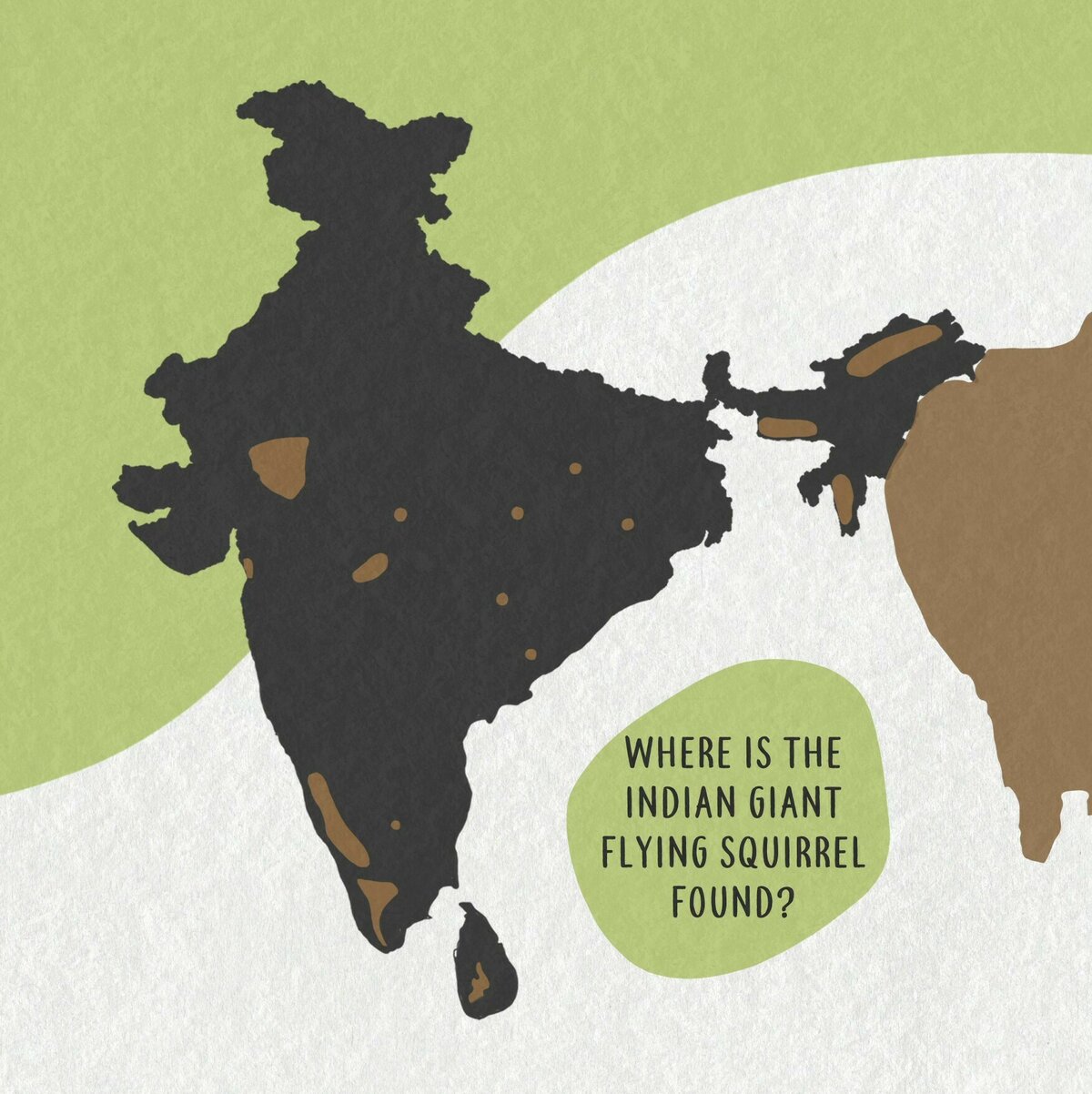 03 Indian giant flying squirrel distribution Moment