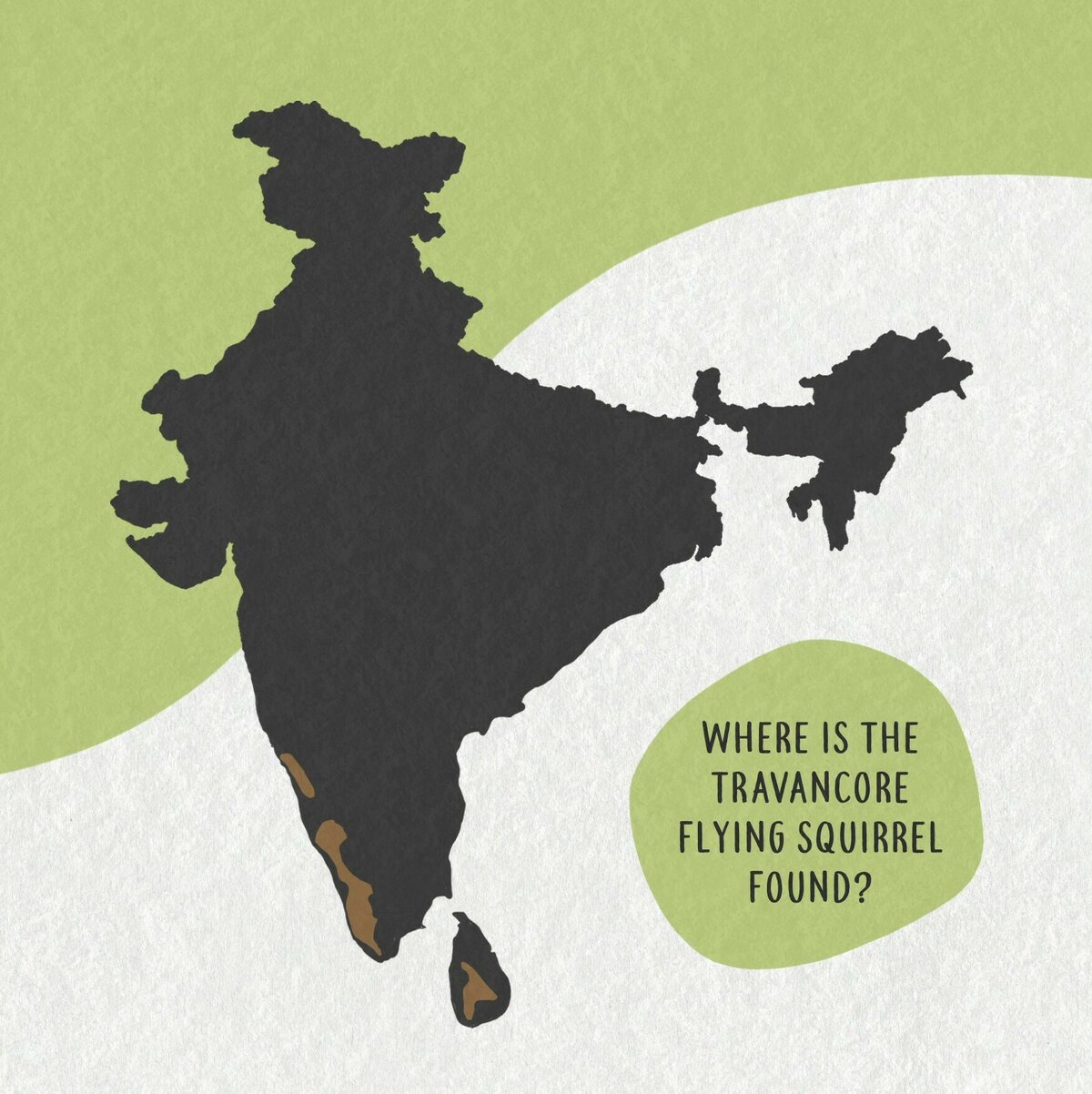 03 Travancore squirrel distribution Moment