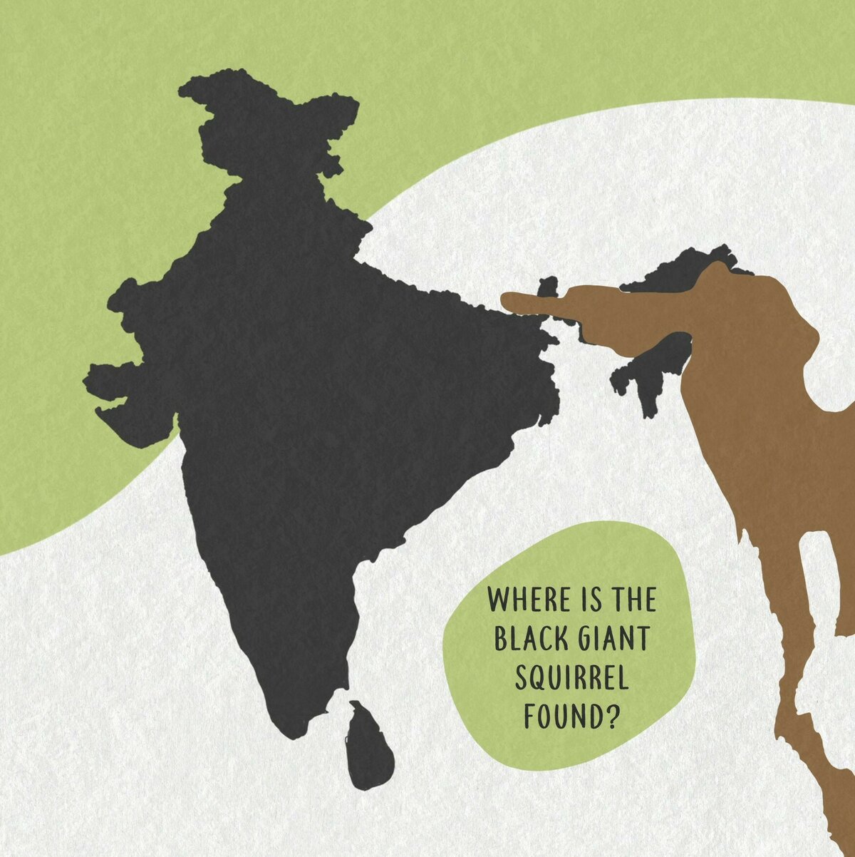 03 Black giant squirrel distribution Moment