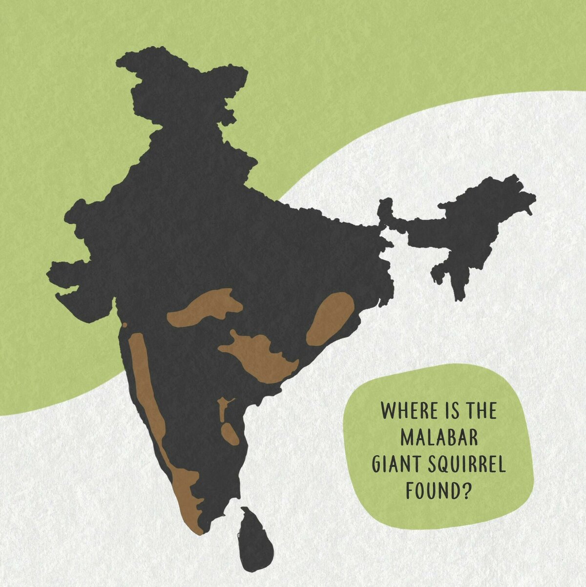 03 Indian giant squirrel distribution Moment