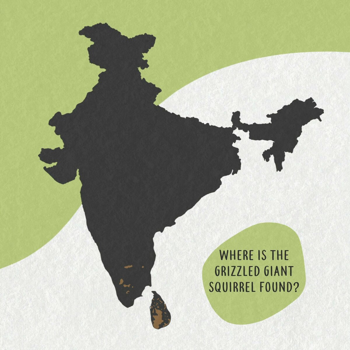 03 Grizzled giant squirrel distribution Moment